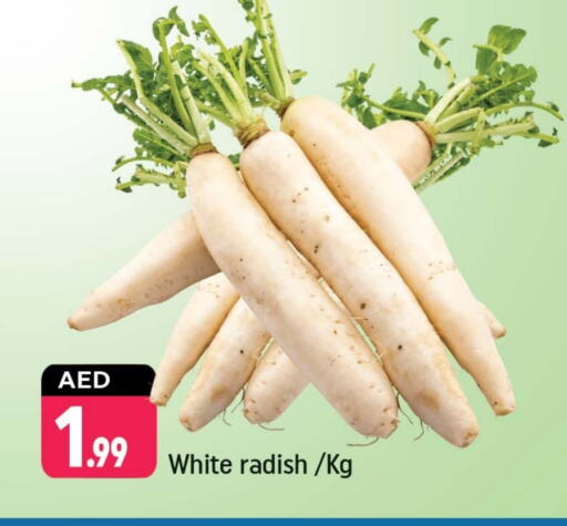 Fresh Vegetables in Shaklan , UAE Offers - United Arab Emirates Radish available at Shaklan in UAE - Dubai
