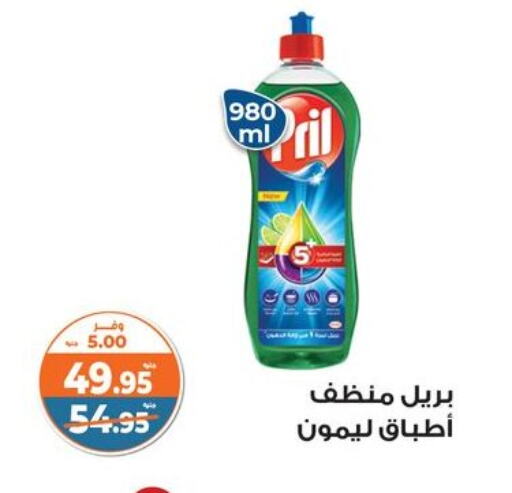 available at Kazyon  in Egypt - Cairo