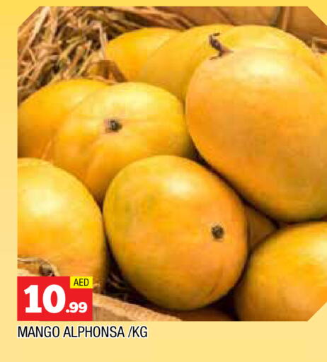 فاكهة طازجة in المدينة, UAE Offers - الإمارات العربية المتحدة مانجو available at المدينة in الإمارات العربية المتحدة , الامارات - الشارقة / عجمان