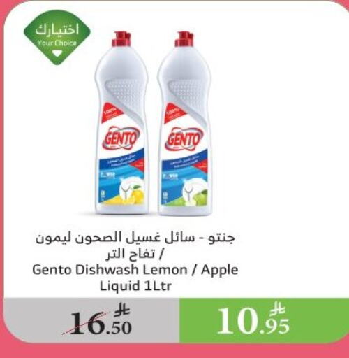 GENTO available at Al Raya in KSA, Saudi Arabia, Saudi - Medina