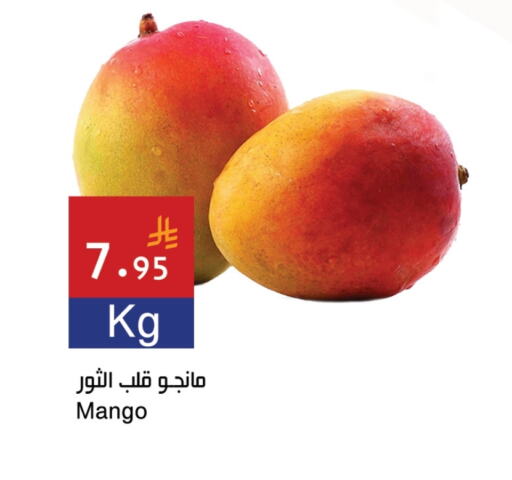 Mangoes available at Hala Markets in KSA, Saudi Arabia, Saudi - Jeddah