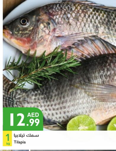 الأسماك الطازجة in إسطنبول سوبرماركت, UAE Offers - الإمارات العربية المتحدة available at إسطنبول سوبرماركت in الإمارات العربية المتحدة , الامارات - الشارقة / عجمان