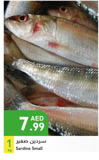 الأسماك الطازجة in إسطنبول سوبرماركت, UAE Offers - الإمارات العربية المتحدة available at إسطنبول سوبرماركت in الإمارات العربية المتحدة , الامارات - الشارقة / عجمان