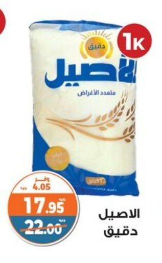 Flour & Baking Supplies in Kazyon , Egypt Offers - Egypt available at Kazyon in Egypt - Cairo