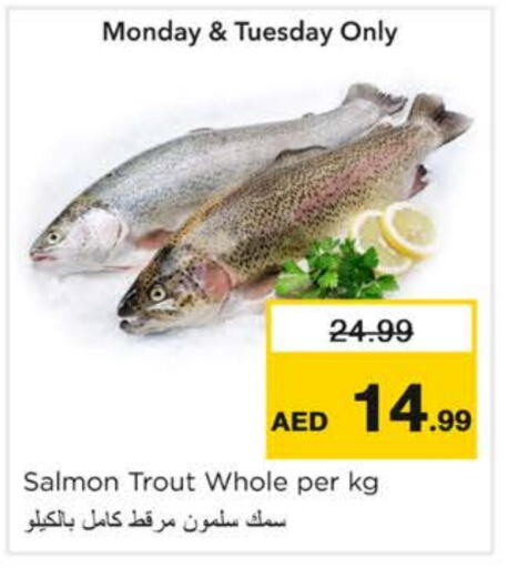 available at نستو هايبرماركت in الإمارات العربية المتحدة , الامارات - رَأْس ٱلْخَيْمَة