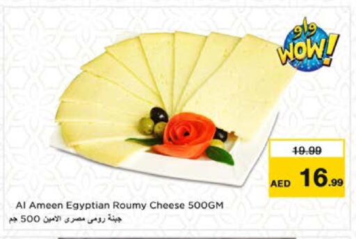 الأمين جبنة رومي available at نستو هايبرماركت in الإمارات العربية المتحدة , الامارات - الشارقة / عجمان