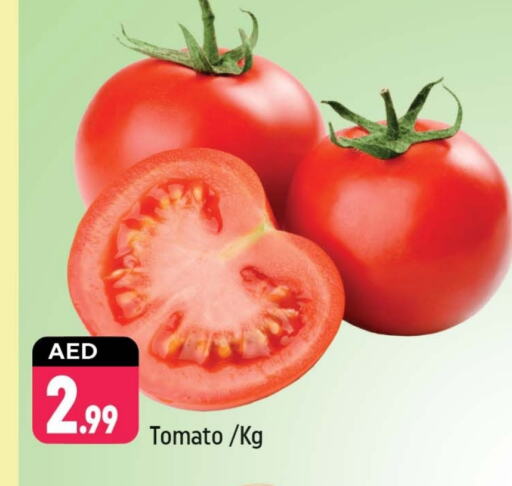 Tomato available at Shaklan  in UAE - Dubai