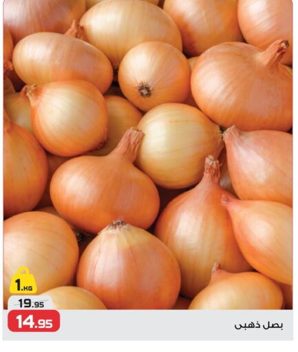 Onion available at  Zahran Market in Egypt - Cairo