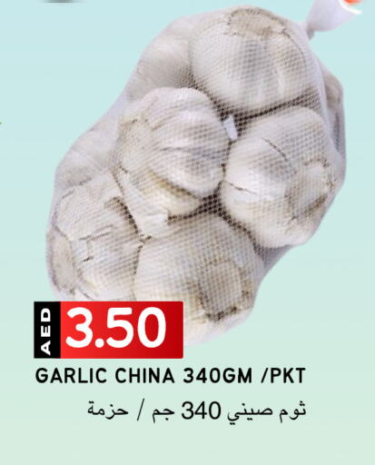 Garlic from China available at Select Market in UAE - Abu Dhabi