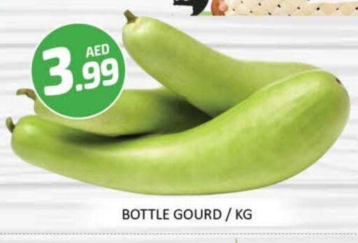 Fresh Vegetables in Mango Hypermarket LLC, UAE Offers - United Arab Emirates Gourd available at Mango Hypermarket LLC in UAE - Dubai