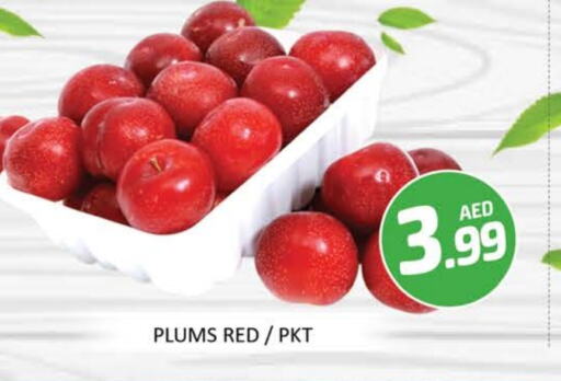Fresh Fruits in Mango Hypermarket LLC, UAE Offers - United Arab Emirates Plums available at Mango Hypermarket LLC in UAE - Dubai