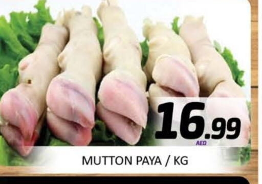 Meat - Fresh & Chilled in Mango Hypermarket LLC, UAE Offers - United Arab Emirates Mutton / Lamb available at Mango Hypermarket LLC in UAE - Dubai