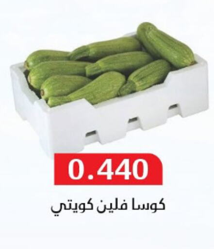 Fresh Vegetables in Al Masayel co-op , Kuwait Offers - Kuwait Zucchini available at Al Masayel co-op in Kuwait - Ahmadi Governorate