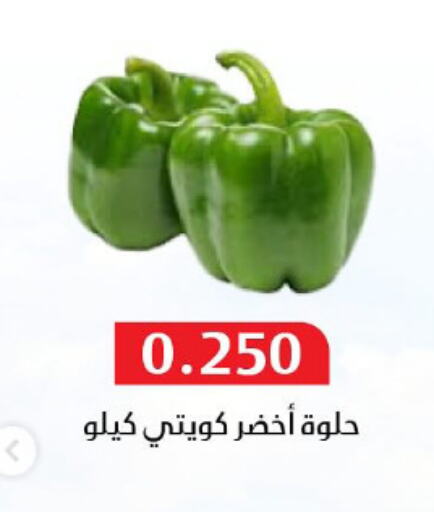 Fresh Vegetables in Al Masayel co-op , Kuwait Offers - Kuwait available at Al Masayel co-op in Kuwait - Ahmadi Governorate