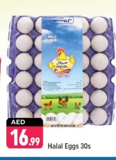 available at Shaklan  in UAE - Dubai