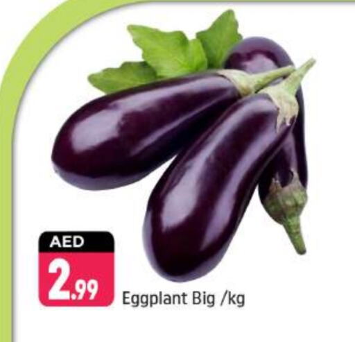 Fresh Vegetables in Shaklan , UAE Offers - United Arab Emirates Eggplant available at Shaklan in UAE - Dubai