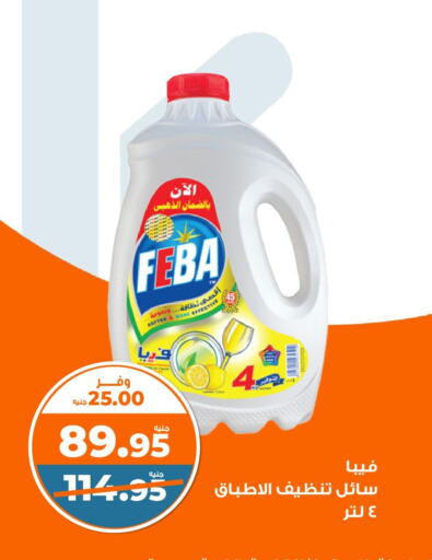 Cleaning in Kazyon , Egypt Offers - Egypt available at Kazyon in Egypt - Cairo