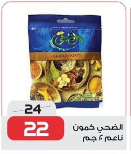 Pulses, Beans & Grains in Zahran Market, Egypt Offers - Egypt available at Zahran Market in Egypt - Cairo