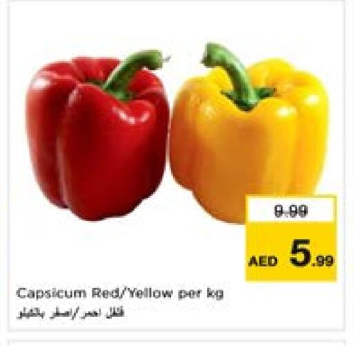 Fresh Vegetables in Last Chance , UAE Offers - United Arab Emirates Chilli / Capsicum available at Last Chance in UAE - Fujairah
