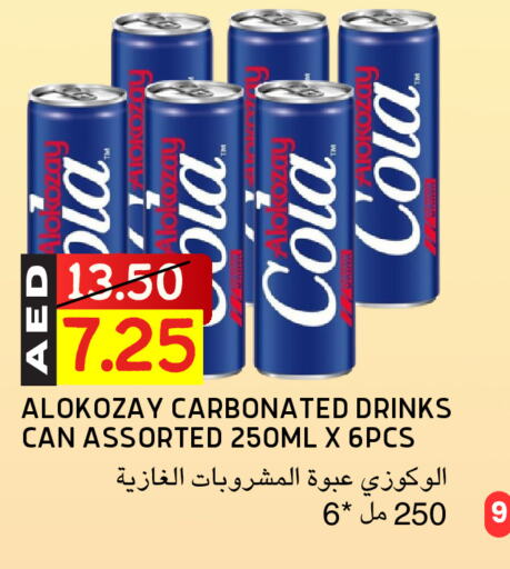 ALOKOZAY available at Select Market in UAE - Abu Dhabi