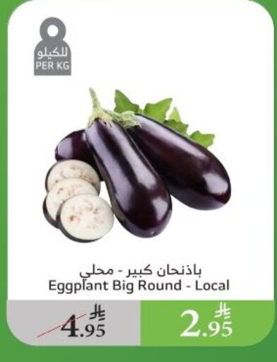Fresh Vegetables in Al Raya, Saudi Arabia Offers - Saudi Arabia Eggplant available at Al Raya in KSA, Saudi Arabia, Saudi - Al Qunfudhah