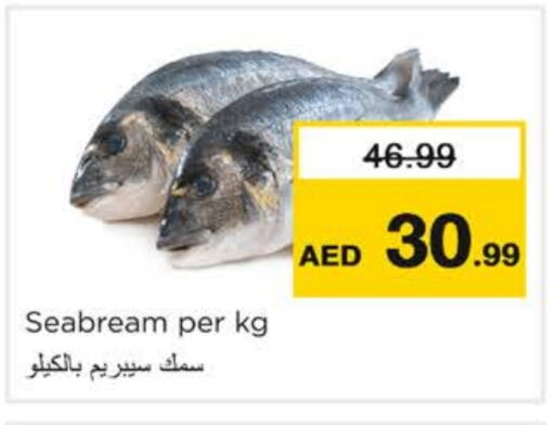 available at نستو هايبرماركت in الإمارات العربية المتحدة , الامارات - رَأْس ٱلْخَيْمَة