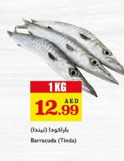الأسماك الطازجة in تروليز سوبرماركت, UAE Offers - الإمارات العربية المتحدة available at تروليز سوبرماركت in الإمارات العربية المتحدة , الامارات - الشارقة / عجمان