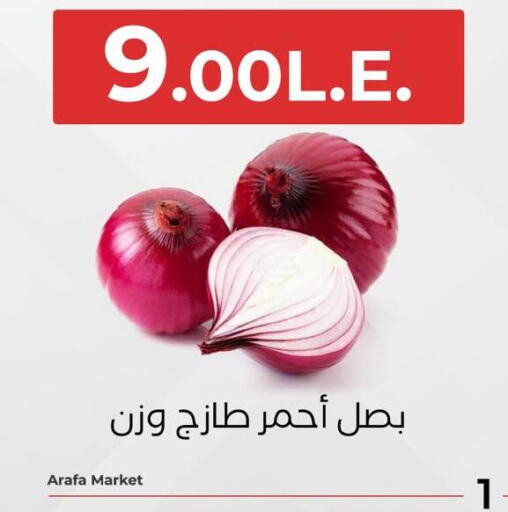 Onion available at Arafa Market in Egypt - Cairo