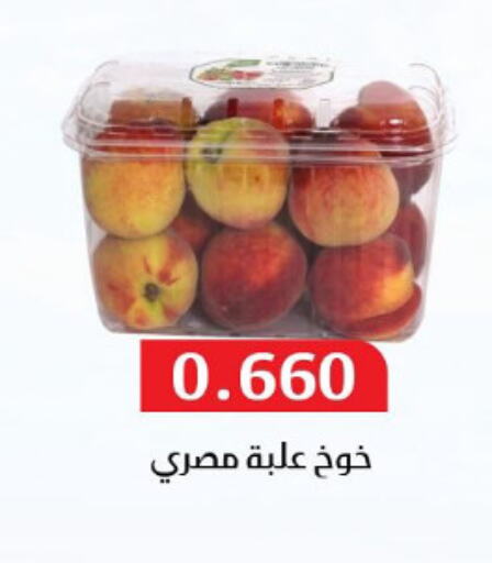 Fresh Fruits in Al Masayel co-op , Kuwait Offers - Kuwait Peach available at Al Masayel co-op in Kuwait - Ahmadi Governorate