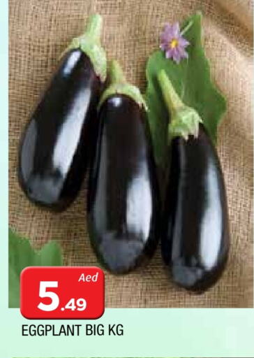 Fresh Vegetables in AL MADINA, UAE Offers - United Arab Emirates Eggplant available at AL MADINA in UAE - Sharjah / Ajman