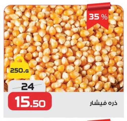 Pulses, Beans & Grains in Zahran Market, Egypt Offers - Egypt available at Zahran Market in Egypt - Cairo