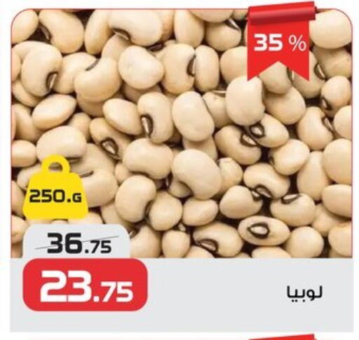 Pulses, Beans & Grains in Zahran Market, Egypt Offers - Egypt available at Zahran Market in Egypt - Cairo