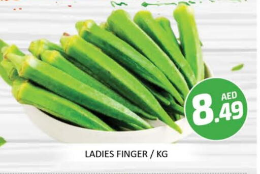 Fresh Vegetables in Mango Hypermarket LLC, UAE Offers - United Arab Emirates Mango available at Mango Hypermarket LLC in UAE - Dubai