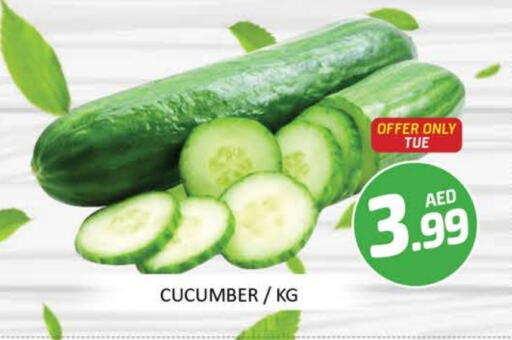 Fresh Vegetables in Mango Hypermarket LLC, UAE Offers - United Arab Emirates Cucumber available at Mango Hypermarket LLC in UAE - Dubai