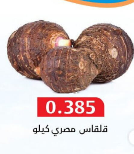 Fresh Vegetables in Al Masayel co-op , Kuwait Offers - Kuwait available at Al Masayel co-op in Kuwait - Ahmadi Governorate