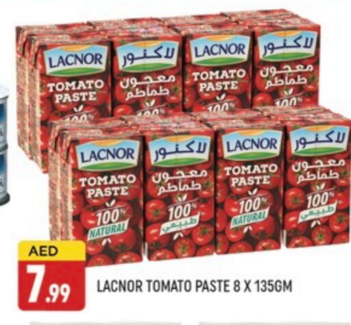 Salts, Spices & Paste in AL MADINA (Dubai), UAE Offers - United Arab Emirates Tomato Paste available at AL MADINA (Dubai) in UAE - Dubai