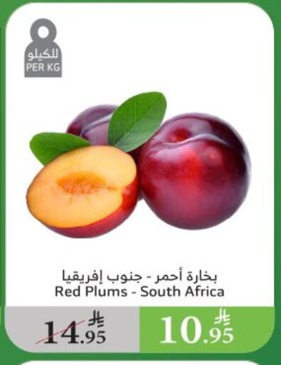فاكهة طازجة in الراية, المملكة العربية السعودية Offers - المملكة العربية السعودية برقوق from South Africa available at الراية in مملكة العربية السعودية, السعودية, سعودية - القنفذة