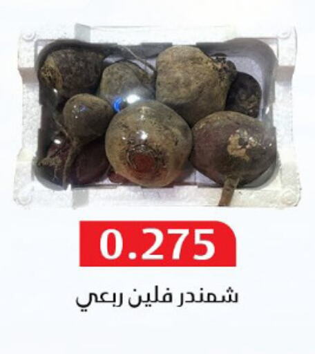 Fresh Vegetables in Al Masayel co-op , Kuwait Offers - Kuwait Beetroot available at Al Masayel co-op in Kuwait - Ahmadi Governorate