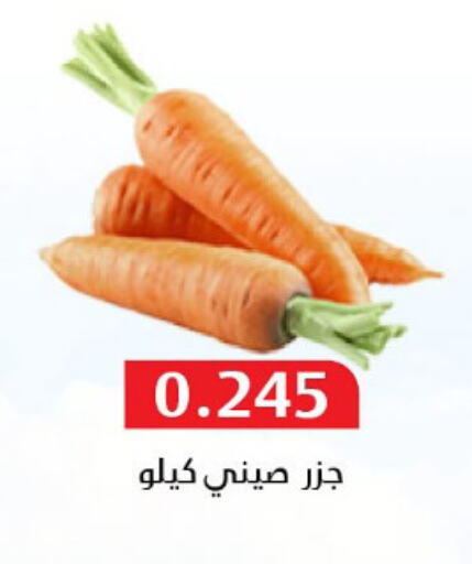 Fresh Vegetables in Al Masayel co-op , Kuwait Offers - Kuwait Carrot available at Al Masayel co-op in Kuwait - Ahmadi Governorate