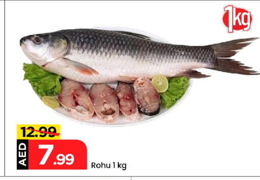Fresh Fish in Mark & Save, UAE Offers - United Arab Emirates available at Mark & Save in UAE - Abu Dhabi