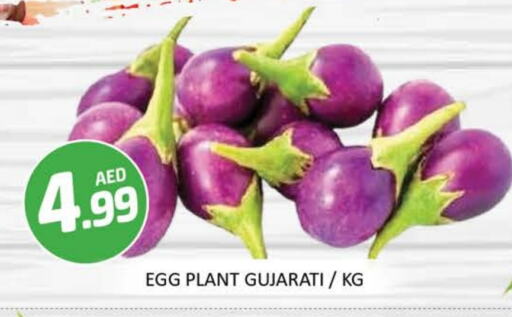 Mango available at Mango Hypermarket LLC in UAE - Dubai