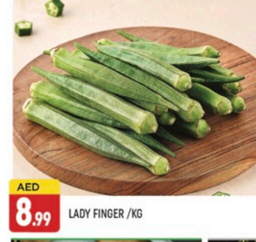 Lady's finger available at AL MADINA (Dubai) in UAE - Dubai