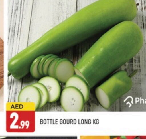 Gourd available at AL MADINA (Dubai) in UAE - Dubai
