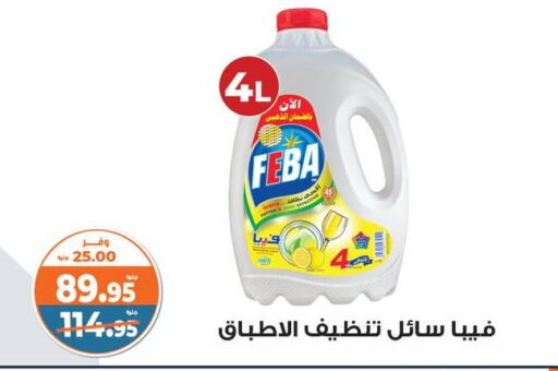 Cleaning in Kazyon , Egypt Offers - Egypt available at Kazyon in Egypt - Cairo
