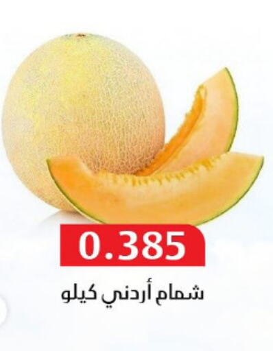 Fresh Fruits in Al Masayel co-op , Kuwait Offers - Kuwait Sweet melon available at Al Masayel co-op in Kuwait - Ahmadi Governorate