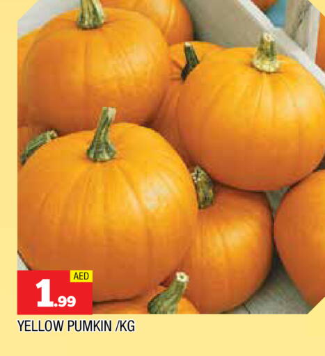 Fresh Vegetables in AL MADINA, UAE Offers - United Arab Emirates Pumkin available at AL MADINA in UAE - Sharjah / Ajman