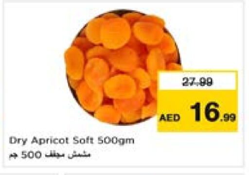 Dried Fruits & Dates in Last Chance , UAE Offers - United Arab Emirates Apricot available at Last Chance in UAE - Fujairah