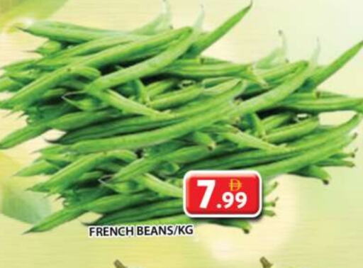 فاصوليا from France available at جراند هايبر ماركت in الإمارات العربية المتحدة , الامارات - الشارقة / عجمان