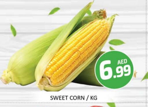Mango available at Mango Hypermarket LLC in UAE - Dubai