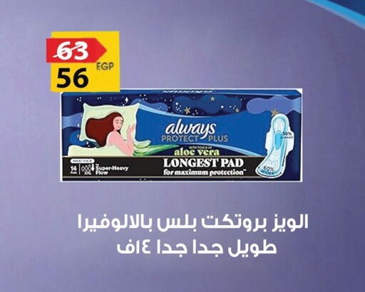 ألويز available at فتح الله in Egypt - القاهرة
